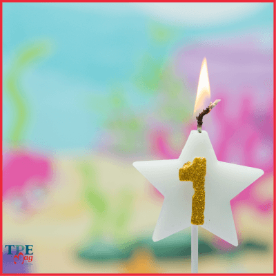 BON ANNIVERSAIRE !! Première bougie pour TPE Mag !
